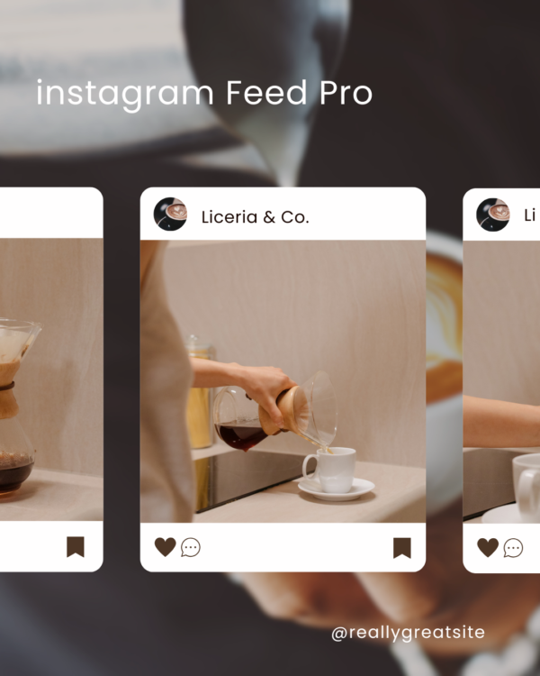 Instagram Feed Pro